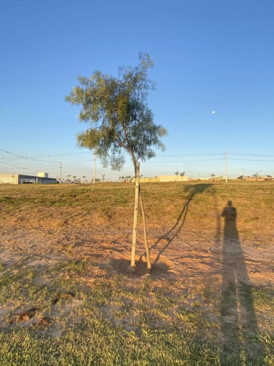 Terreno à Venda com topografia privilegiada, 300m² no Condomínio Terras Alpha em Votorantim/SP